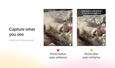 Unenhanced gallery image