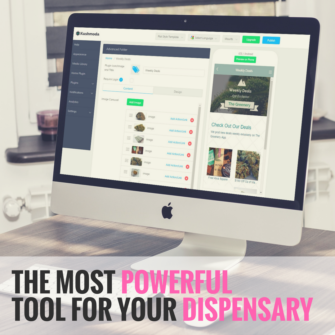 Kushmoda gallery image