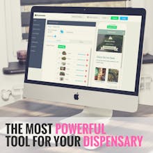 Kushmoda gallery image