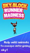 Skyblock Runner Madness gallery image