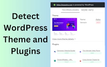 WordPress Theme Detector extension gallery image