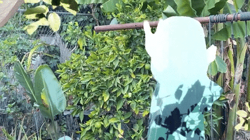 4675adb5-bdbd-431d-9036-2b79fedcdb7e.gif