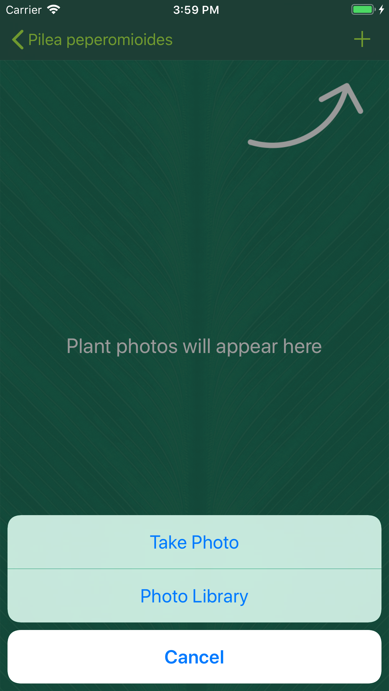 Sprouted gallery image