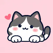 Solo Cat