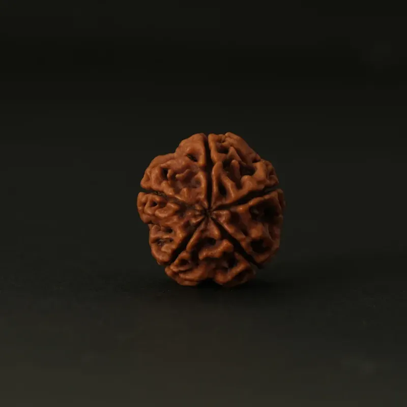 HarShiv Ganga screenshot 3