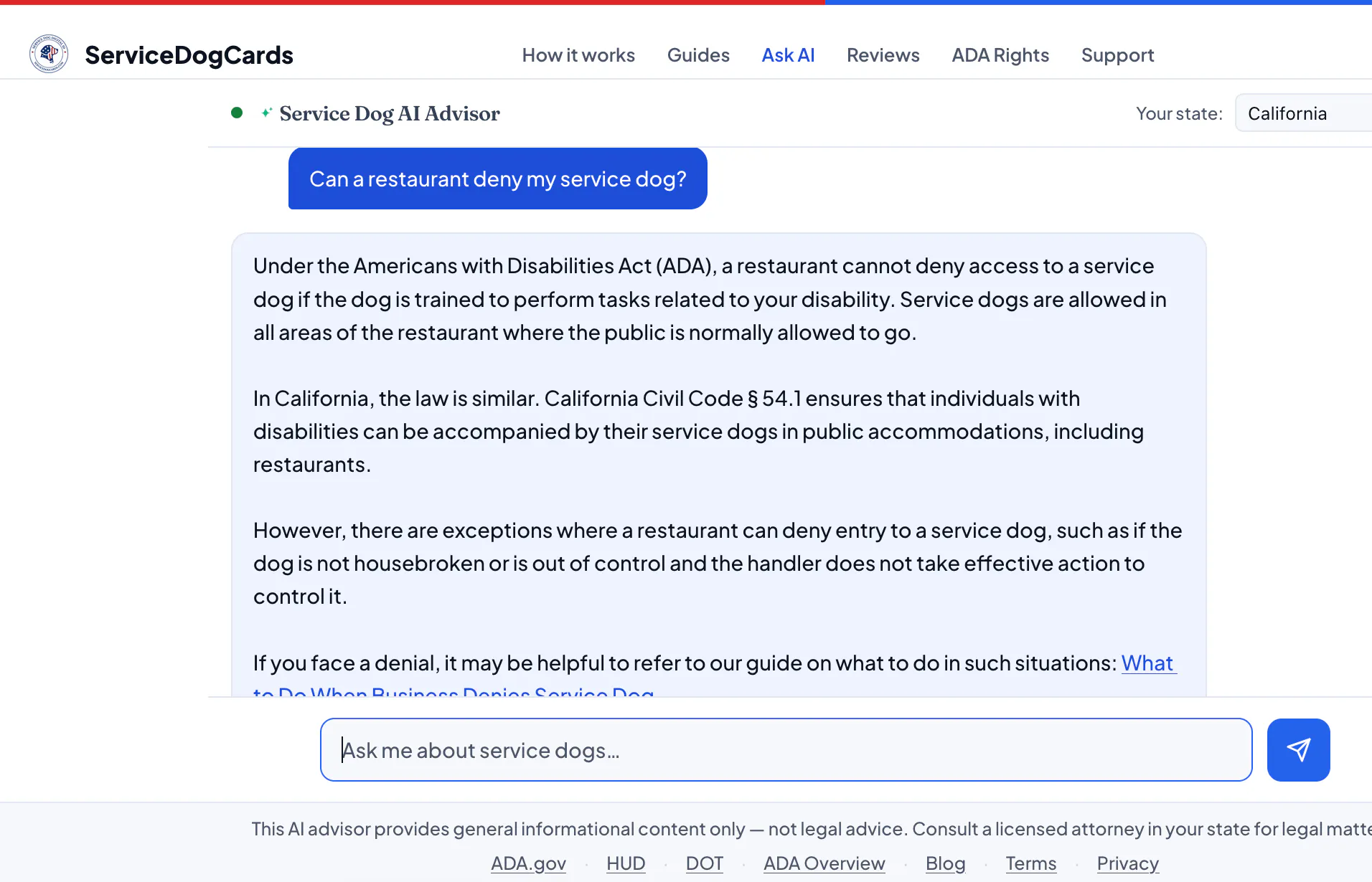 Service Dog AI Advisor gallery image