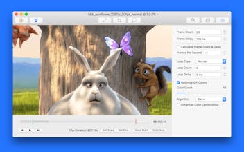 Gfycat gallery image