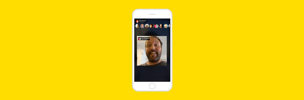 Meerkat Cameo logo