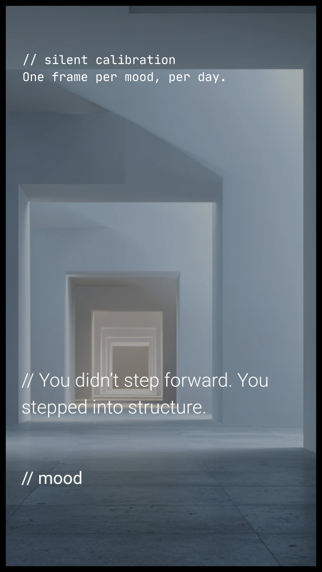 The Quiet Frame gallery image