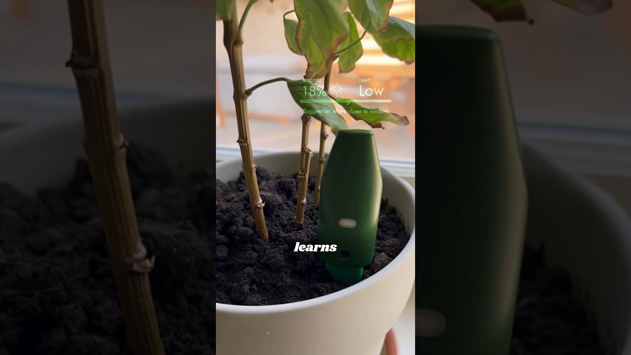 Beastplant gallery image