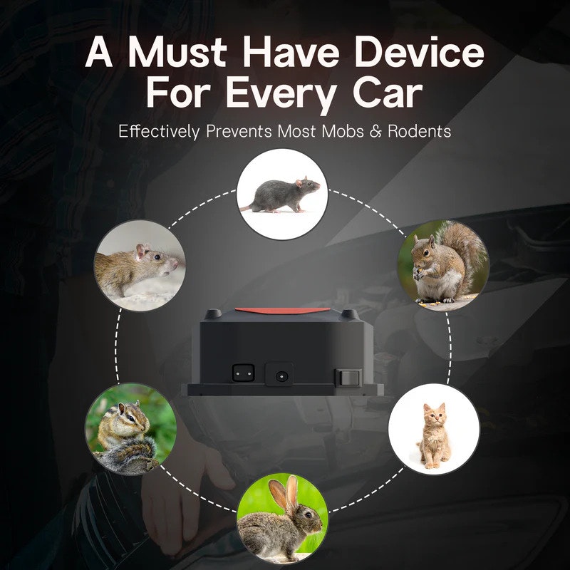 NEWDRU - Product Hunt launch logo and brand identity