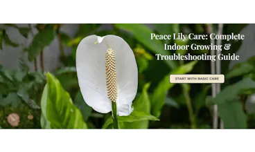 LowLight Leaf gallery image