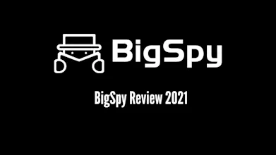 BigSpy Review - March 2021 gallery image