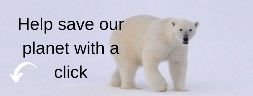 Pay our Planet gallery image