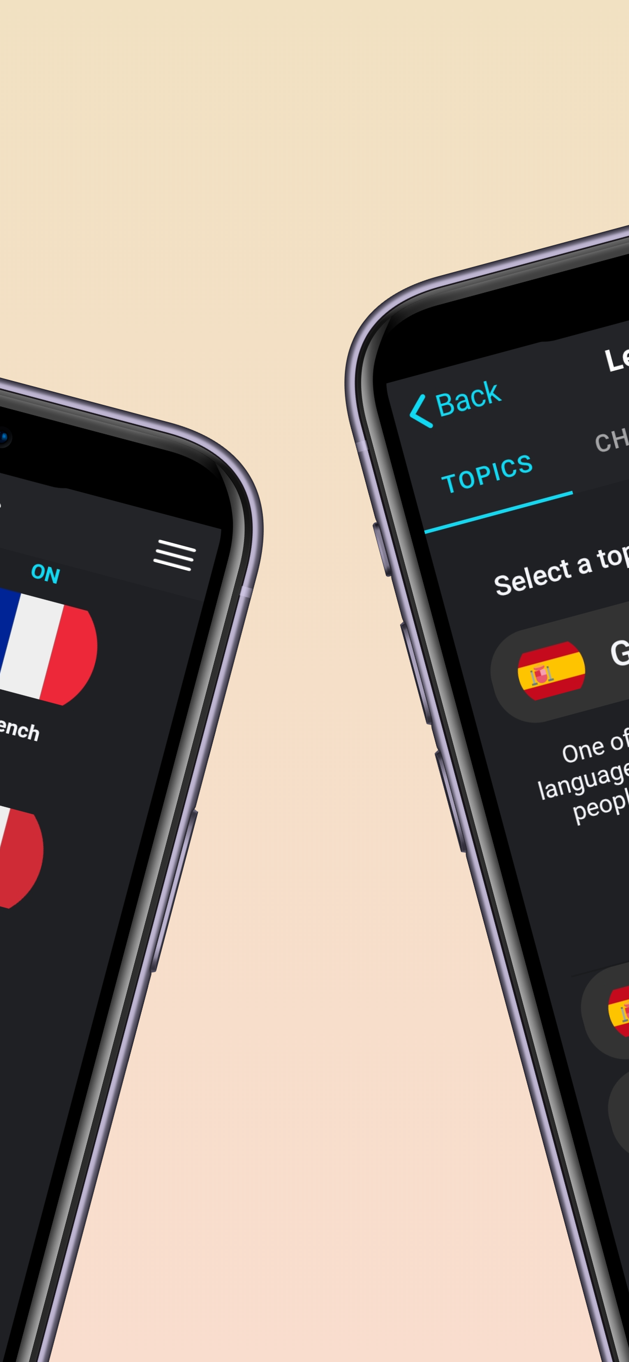 LanguageChat gallery image