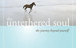 The Untethered Soul media 1