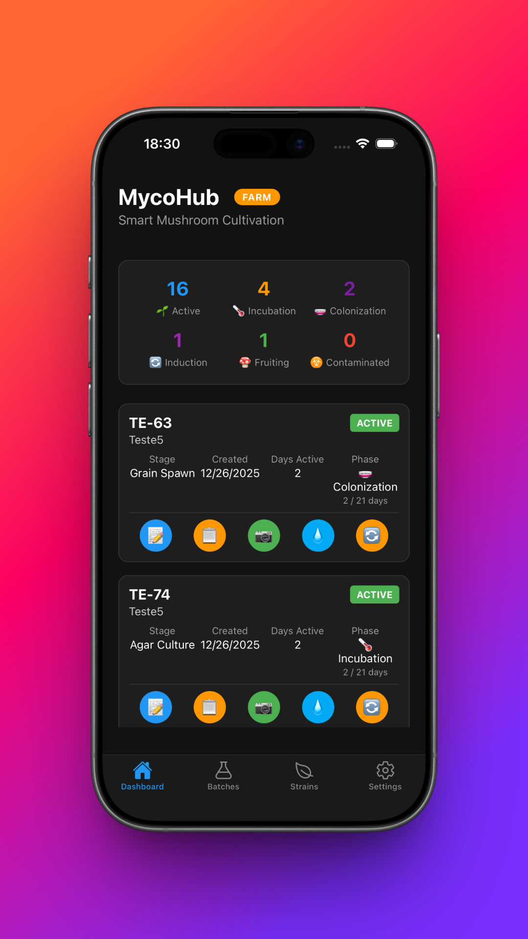MycoHub gallery image
