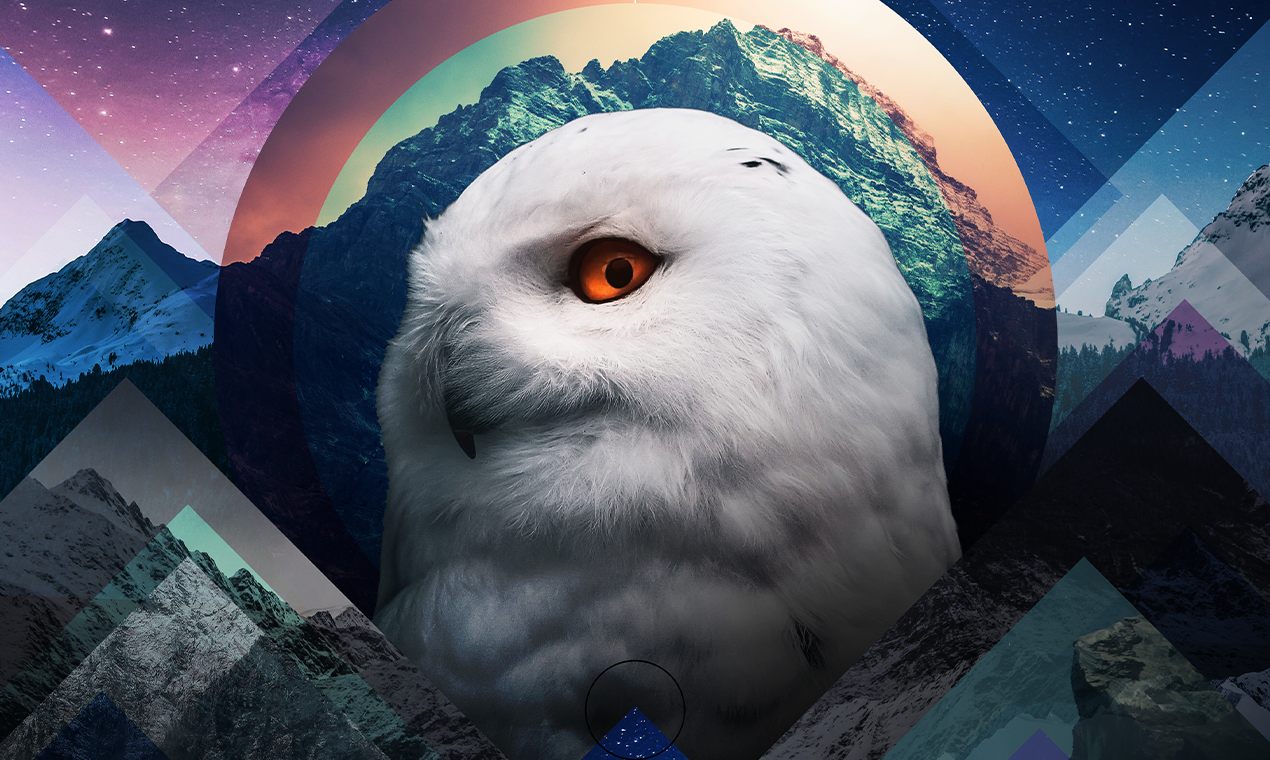 Nature From Home gallery image