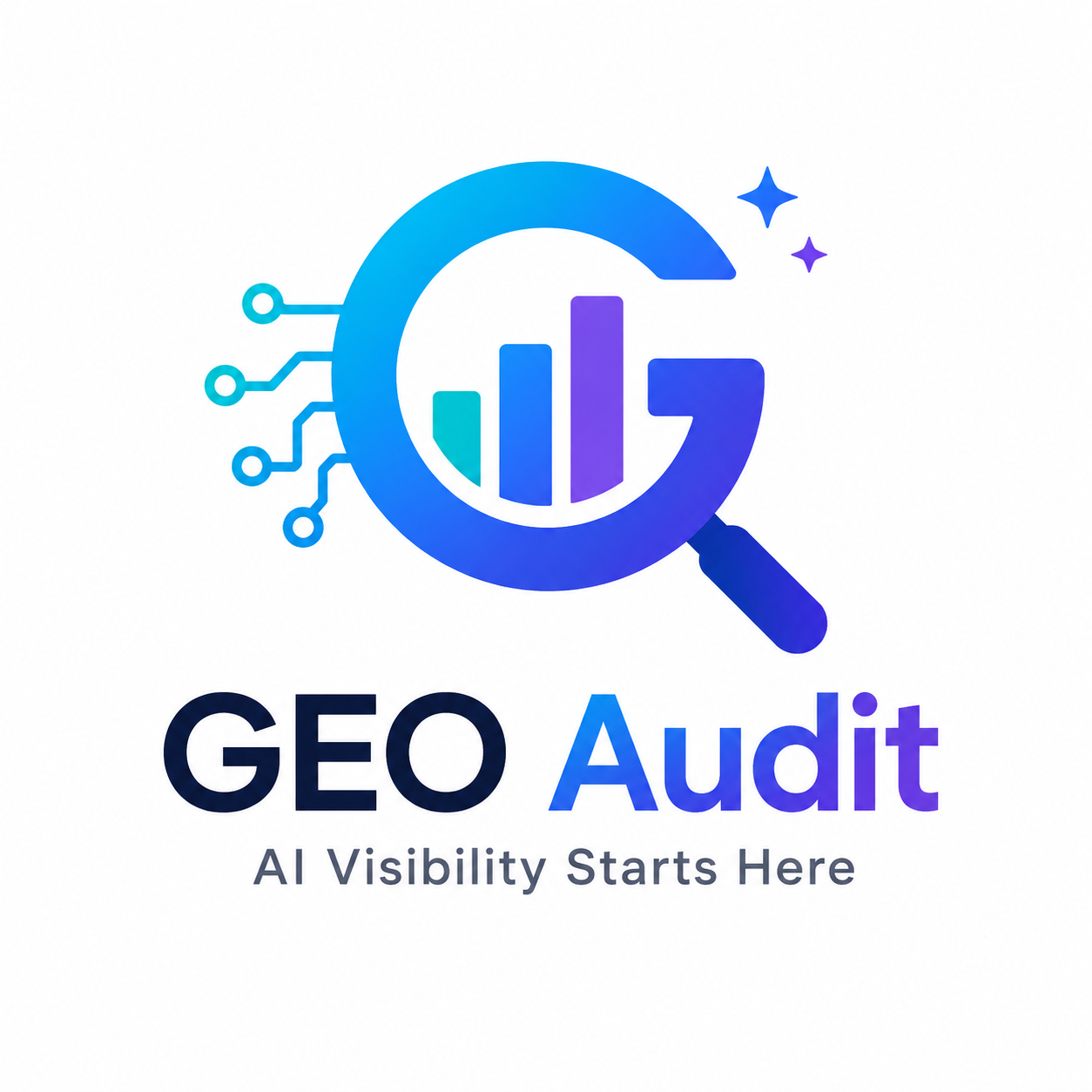 GEO Audit gallery image