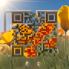 QRX Codes gallery image