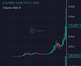 CoinX.so gallery image