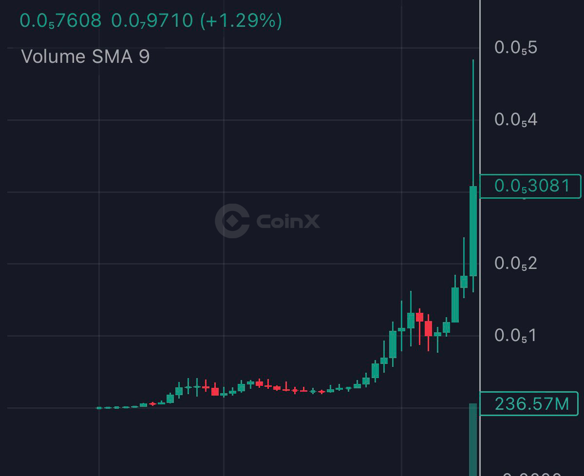 CoinX.so media 3