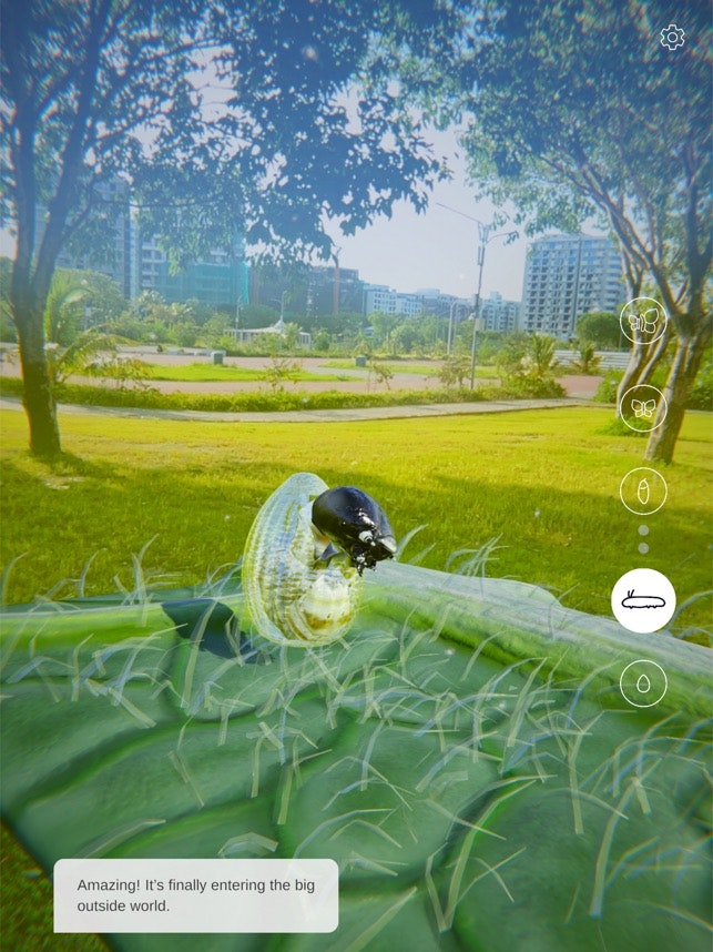 Butterfly Story gallery image