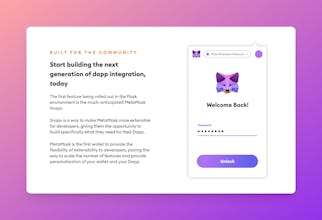 MetaMask Flask gallery image