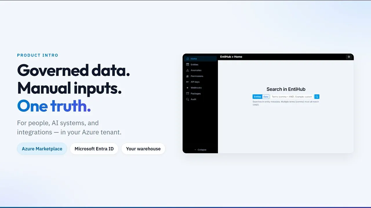 EntiHub - Master data under control gallery image