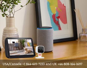 Alexa Device offline problem? solved it gallery image