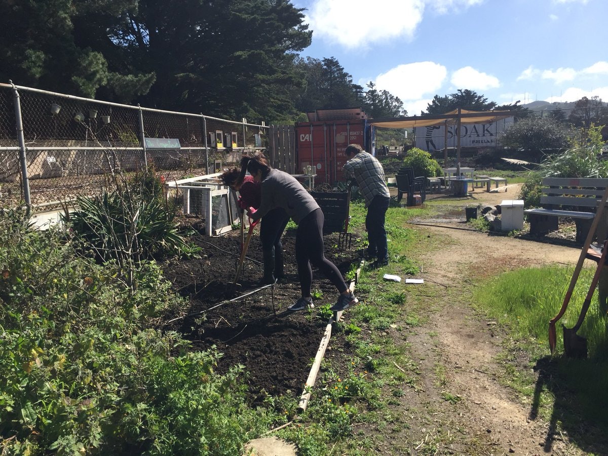 Startups Give Back gallery image