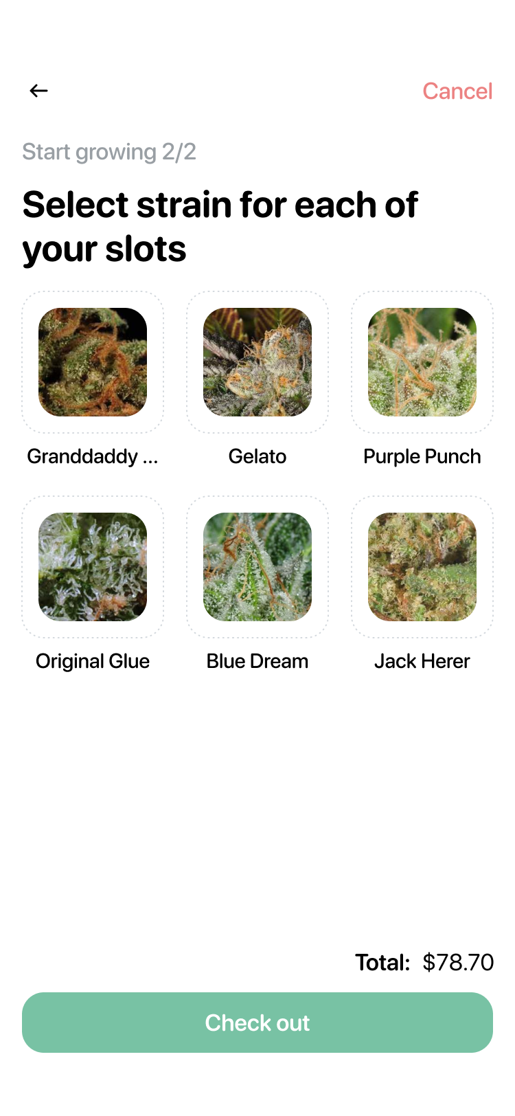 Greenfindor gallery image