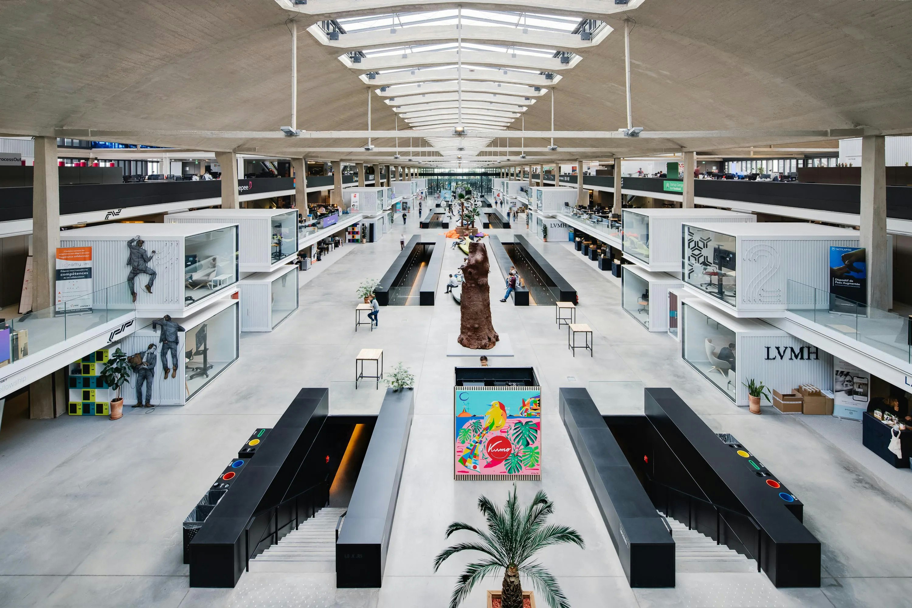 Ambrosia gallery image