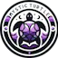 Mystic Turtle Tarot