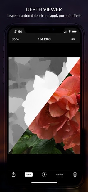 CameraPixels PRO gallery image