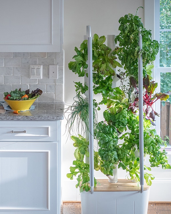 Gardyn gallery image