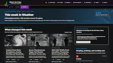 What's the Pulse? gallery image