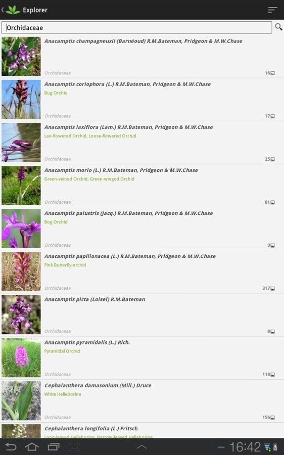 PlantNet gallery image