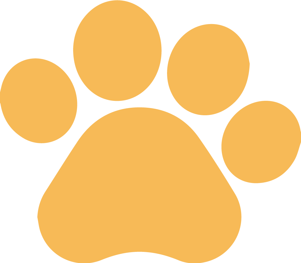 Pet Boarding Sharjah Care gallery image