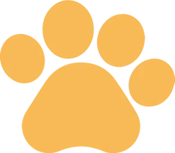 Pet Boarding Sharjah Care gallery image