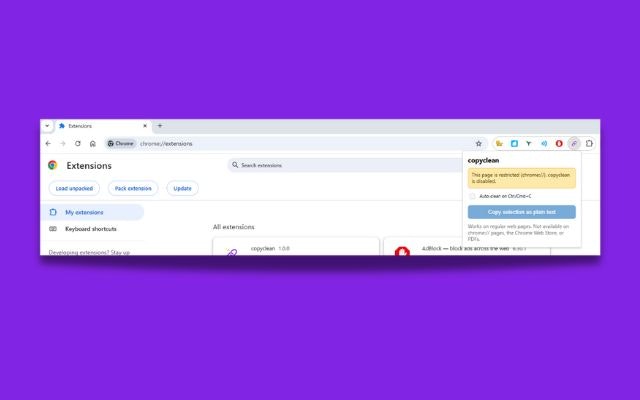 copyclean - Screenshot 3 preview