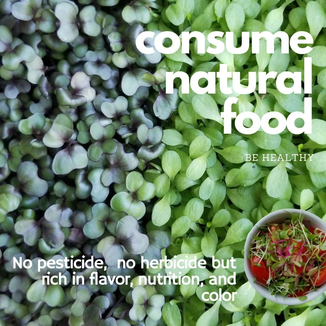Ecofrindly, fresh, and tasty superfood  gallery image