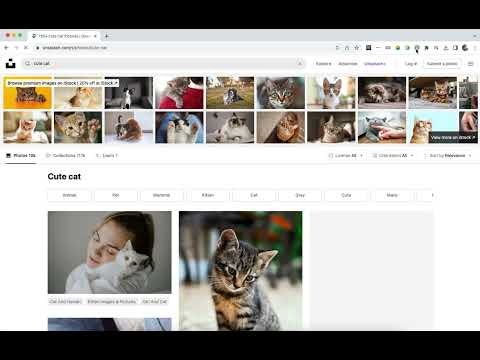 IP Checker Chrome Extension gallery image