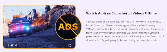 Y2Mate Crunchyroll Downloader gallery image