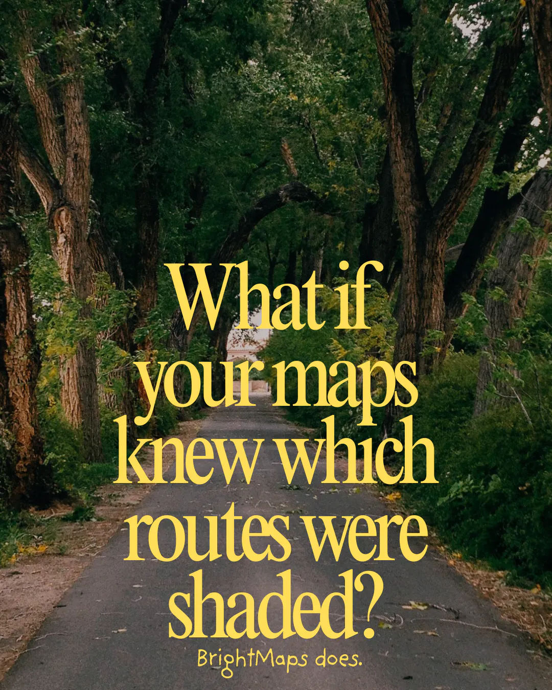 BrightMaps gallery image
