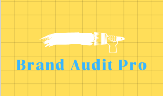 Brand Audit Pro - Main product screenshot demonstrating key features and user interface