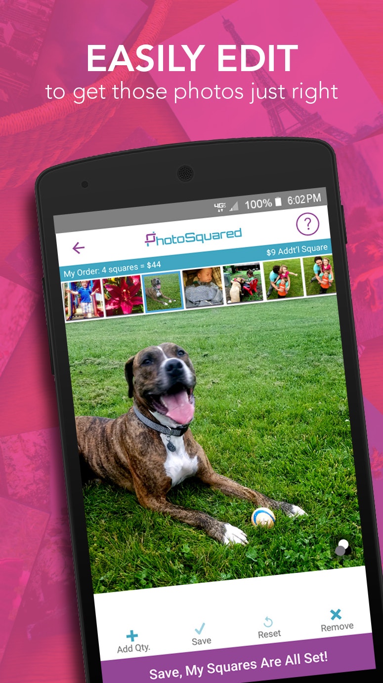 PhotoSquared gallery image