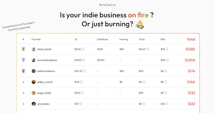 BurnCash gallery image