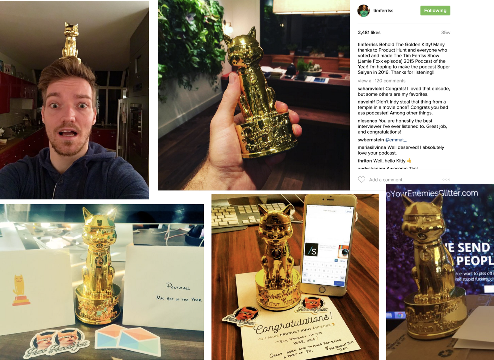 Golden Kitty Awards 2016 gallery image