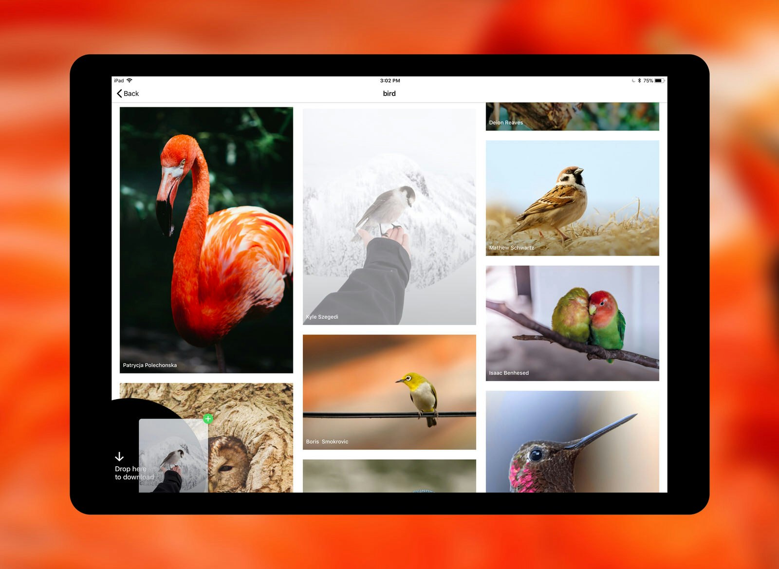 Unsplash for iOS gallery image